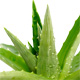 Succo di Aloe Vera
