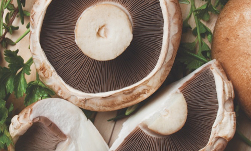 Vitamina D per vegani